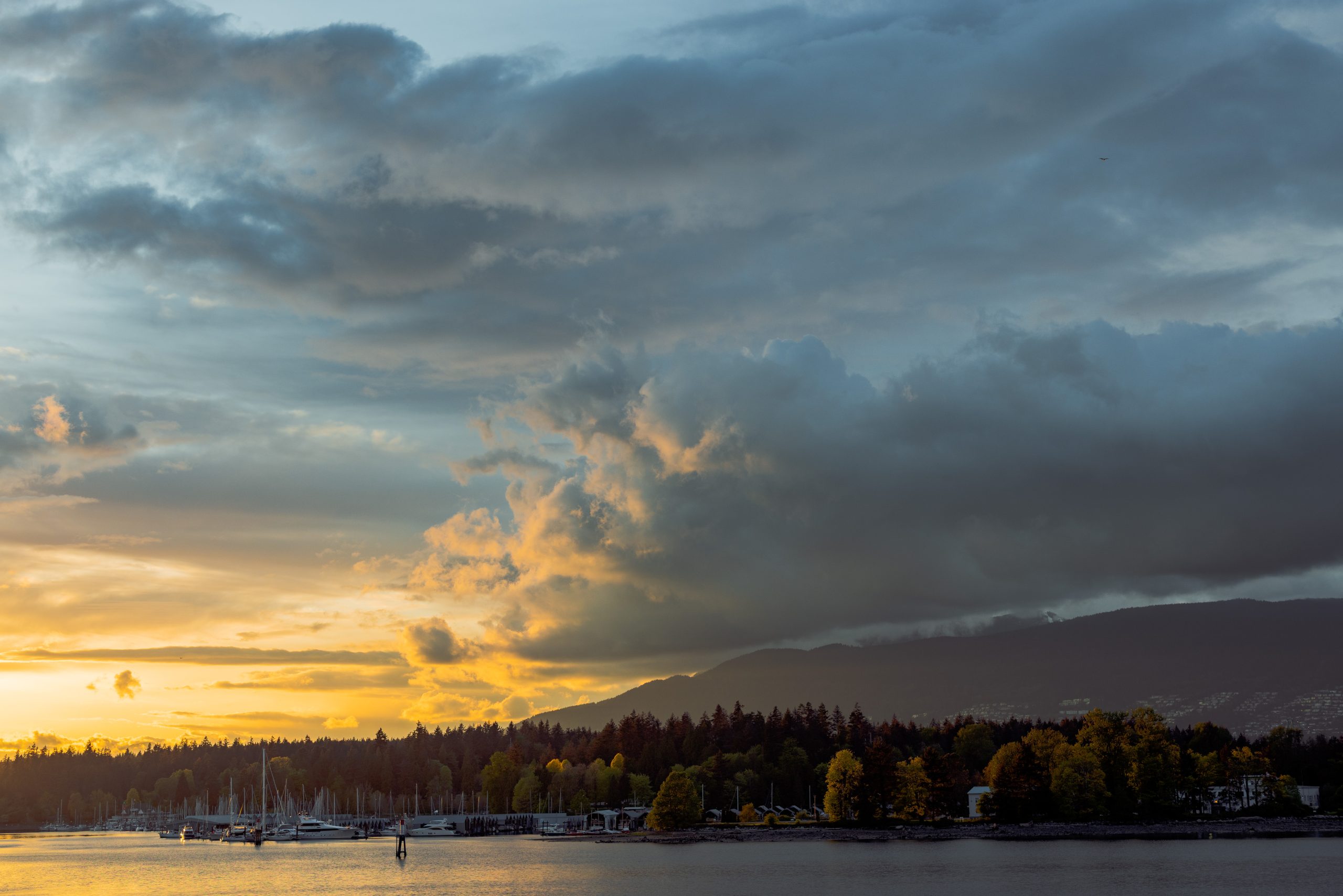 Commercial photography by Nelson Mouëllic, Vancouver