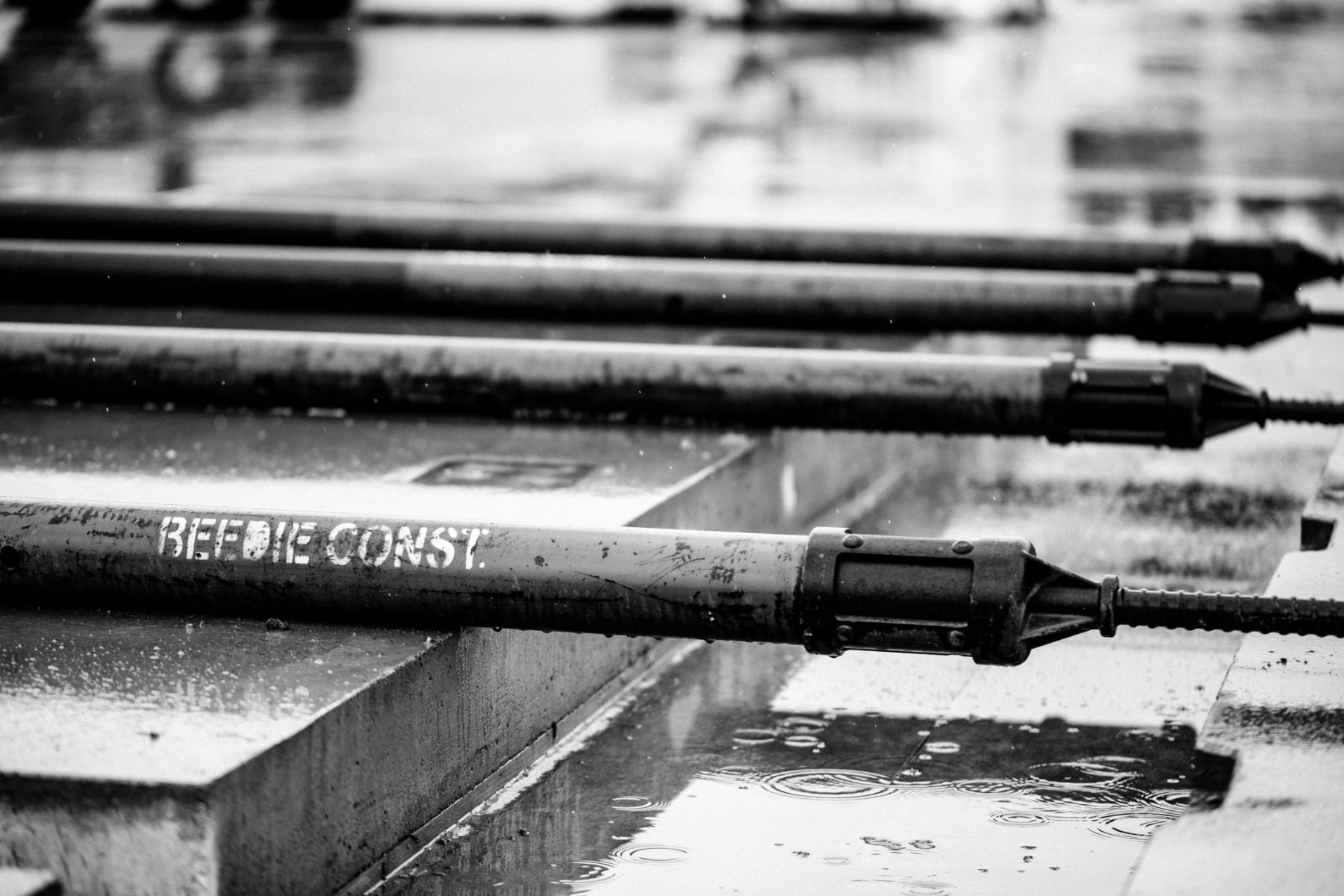 Beedie — editorial photography by Nelson Mouëllic