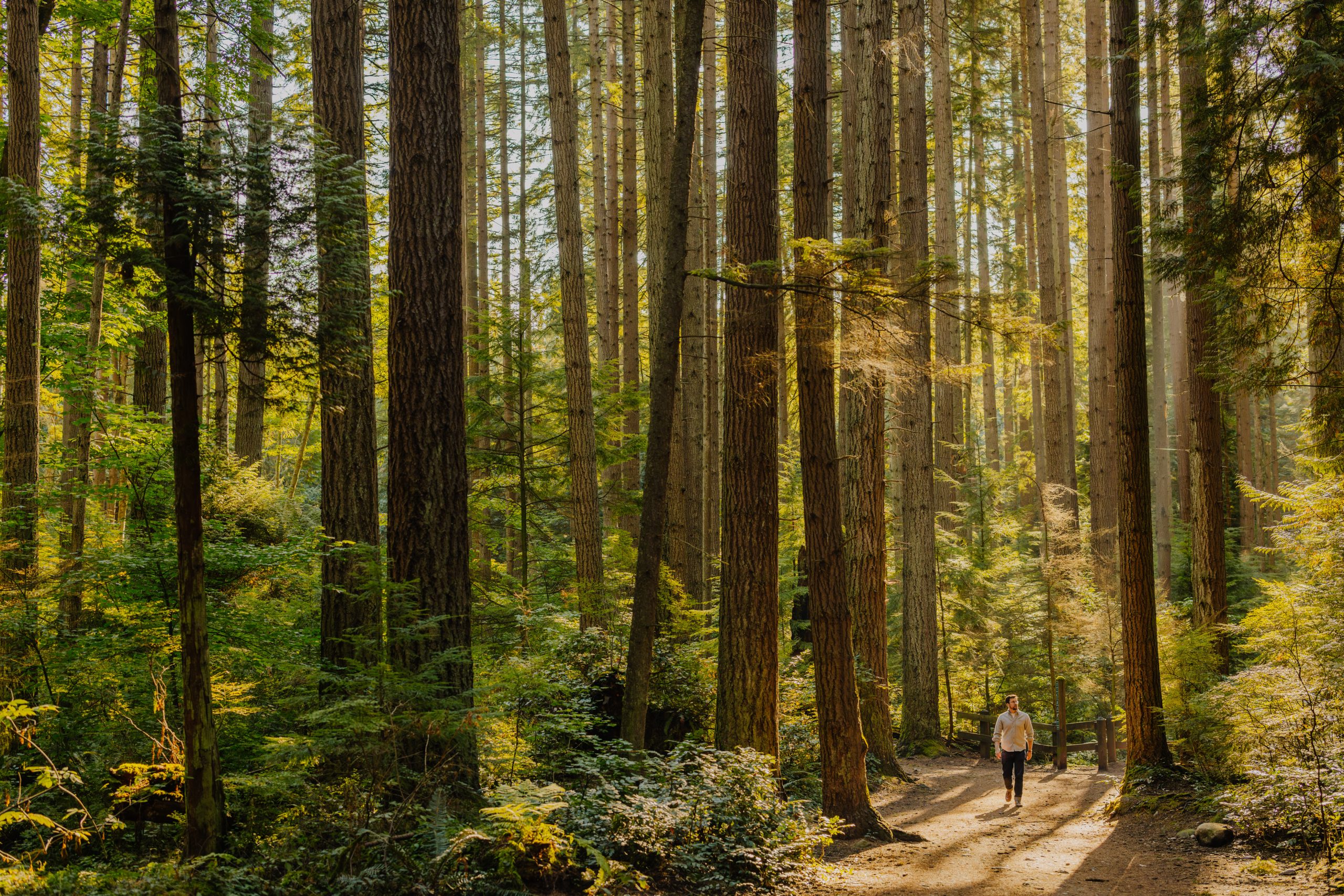 Commercial photography by Nelson Mouëllic, Vancouver