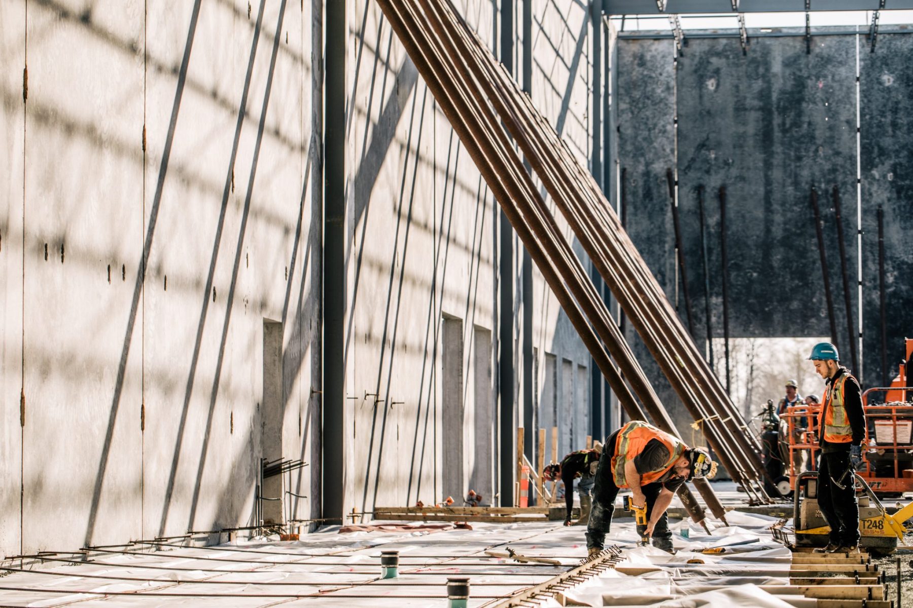 Beedie — advertising photography by Nelson Mouëllic