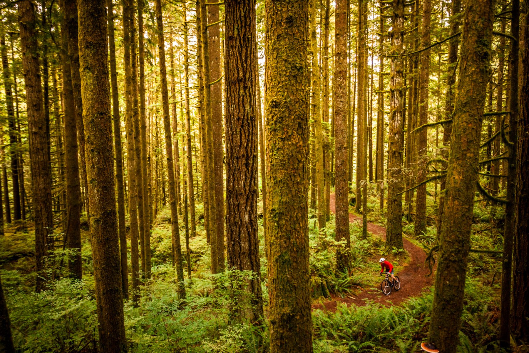 Brodie Bikes — Vancouver commercial photography