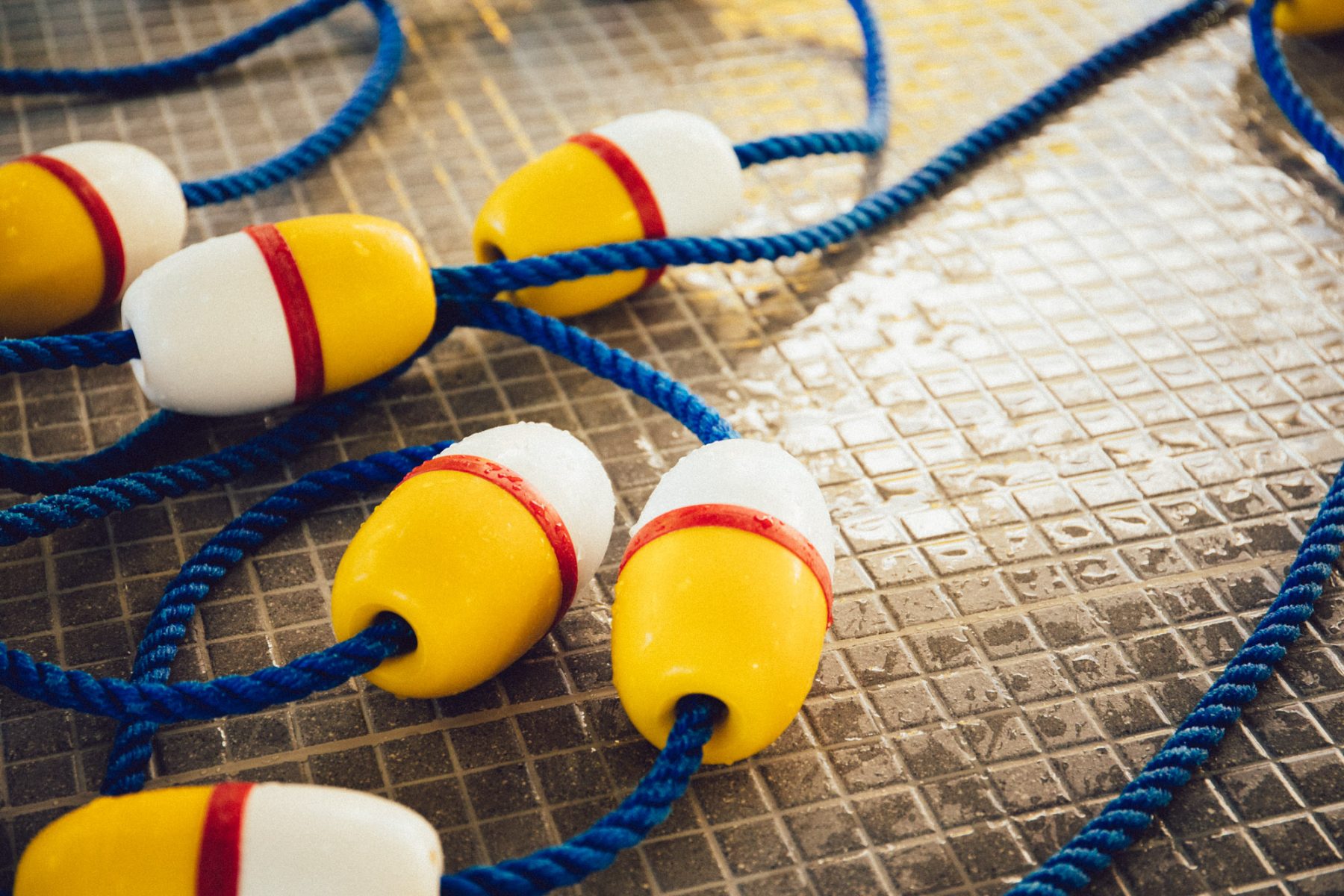 Surrey Aquatics — photo by Nelson Mouëllic