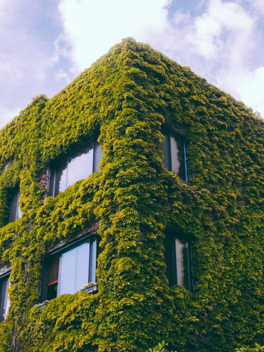 The West End — brand photography Vancouver