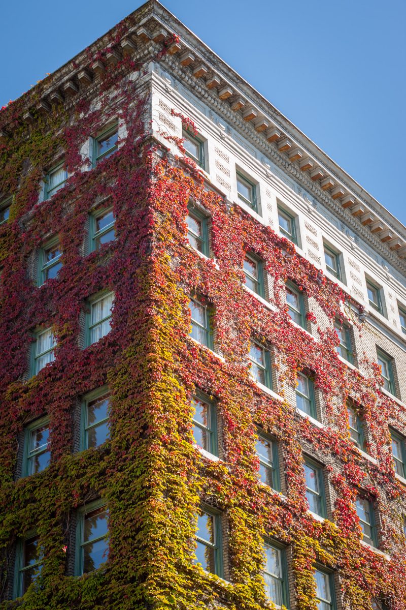 The West End — commercial photo shoot by Nelson Mouëllic